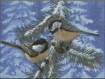 (image for) Little Feathers